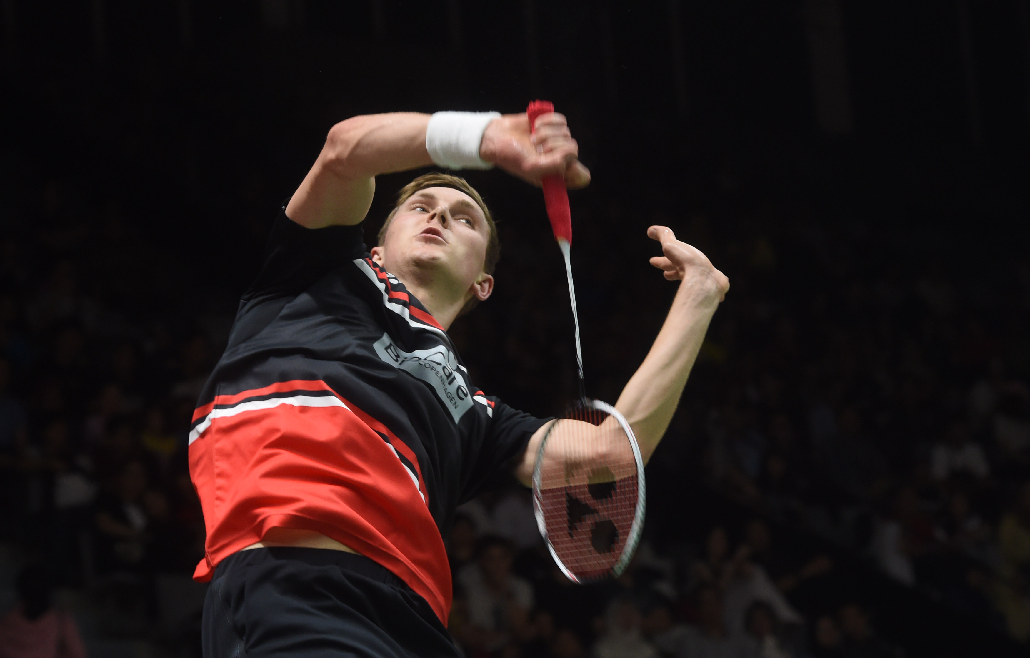 供重要帮助 供重要帮助